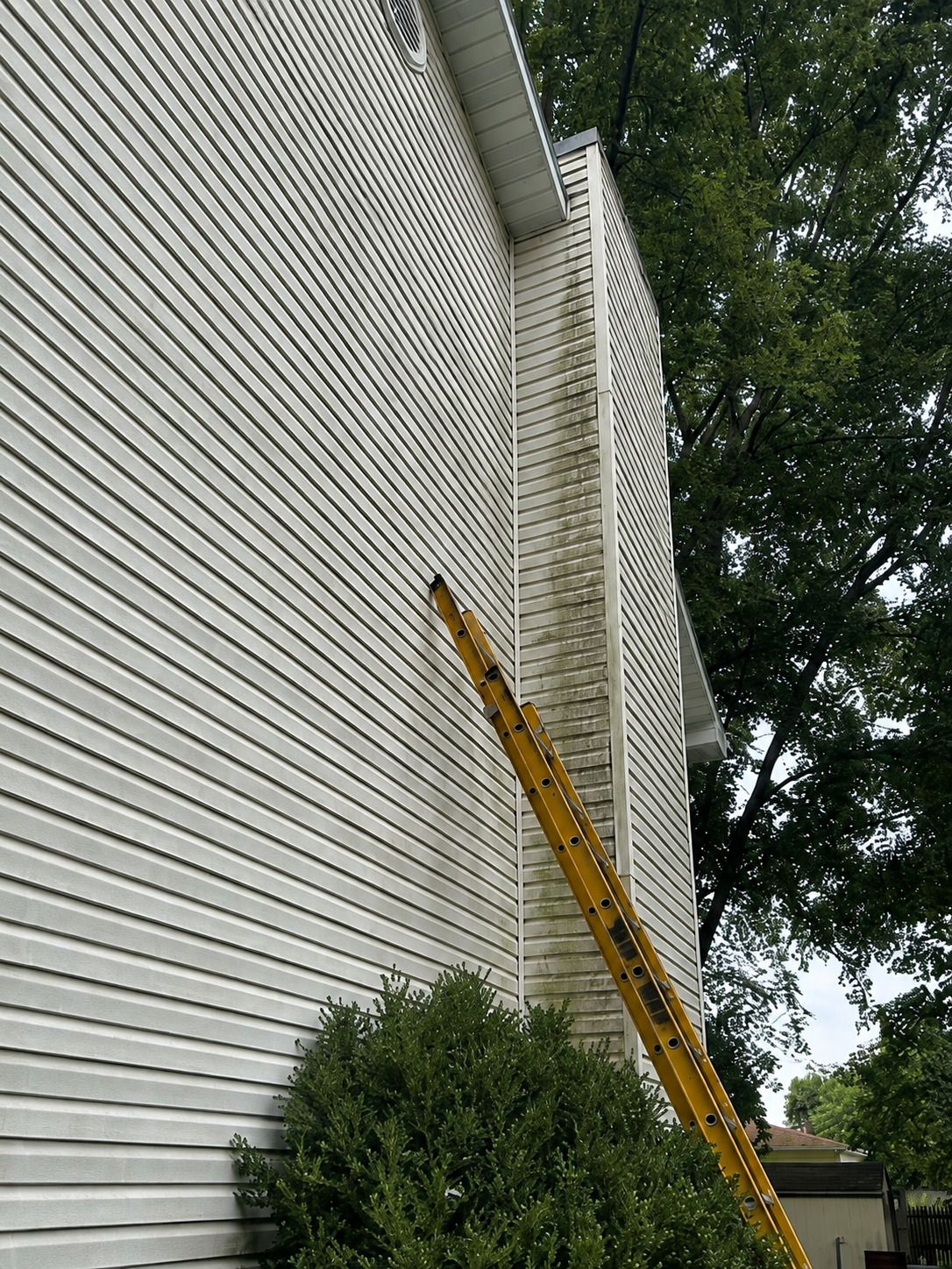 White siding with visible grime before exterior cleaning